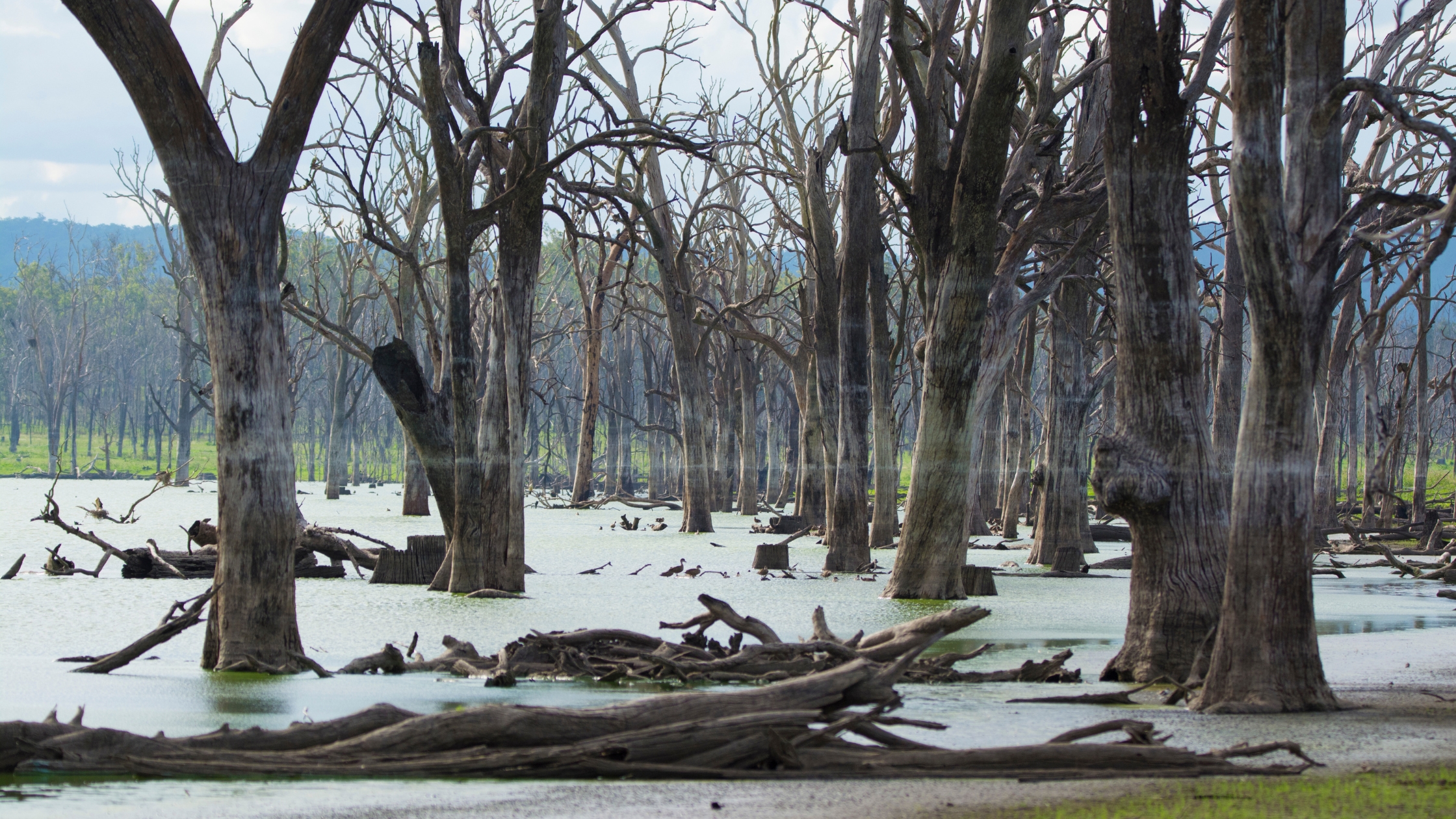 lake clarendon Lockyer valley